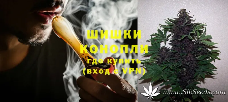 ссылка на мегу вход  Новодвинск  Каннабис OG Kush 